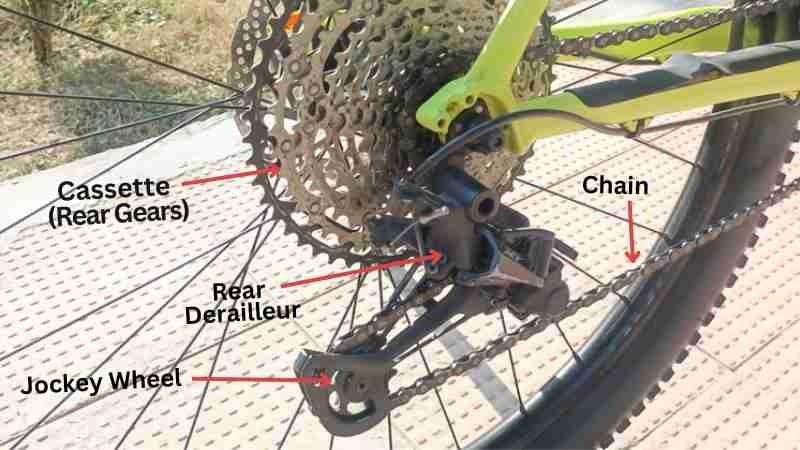 Close view of bike chain system (rear side) - Bike Chain Slipping