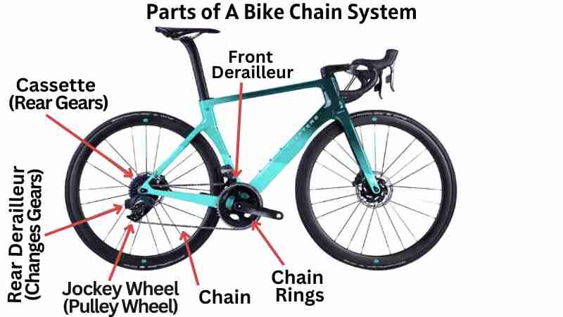 Learn the Parts of a Bike Chain System to avoid the bike chain slipping